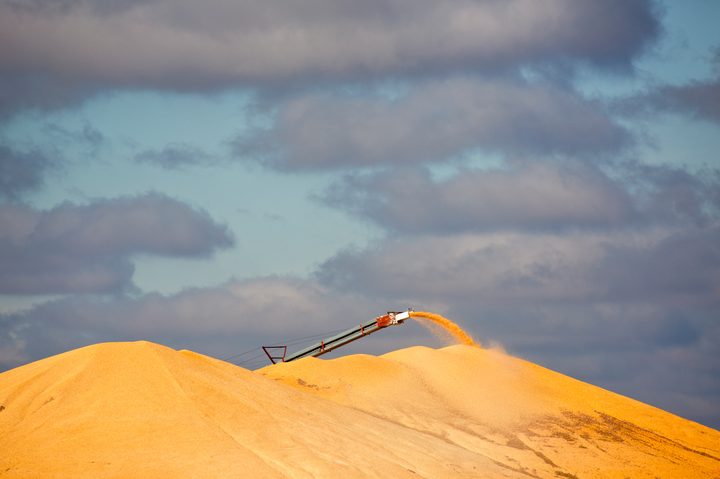 Could St. Louis become a delivery point for corn futures?