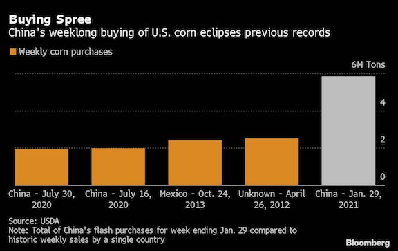 Buying Spree Graph - China's weeklong buying of U.S. corn eclipses previous record