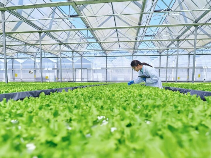 More Than $1 Billion in Investment and Global Brands Fuel Growth of Food & AgTech Sector in St. Louis Region