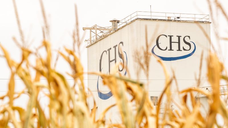 Photo of CHS Facility behind corn stalks